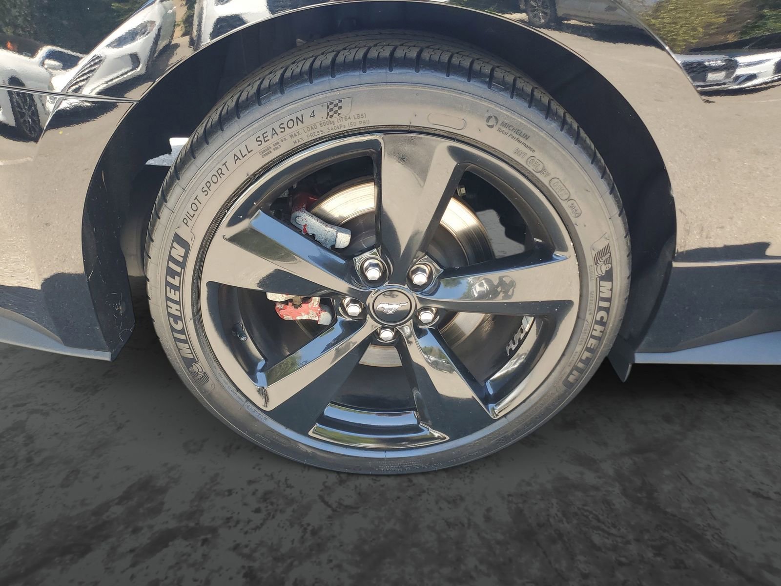 Used 2021 Ford Mustang GT Premium w/ Equipment Group 401A RWD image 5