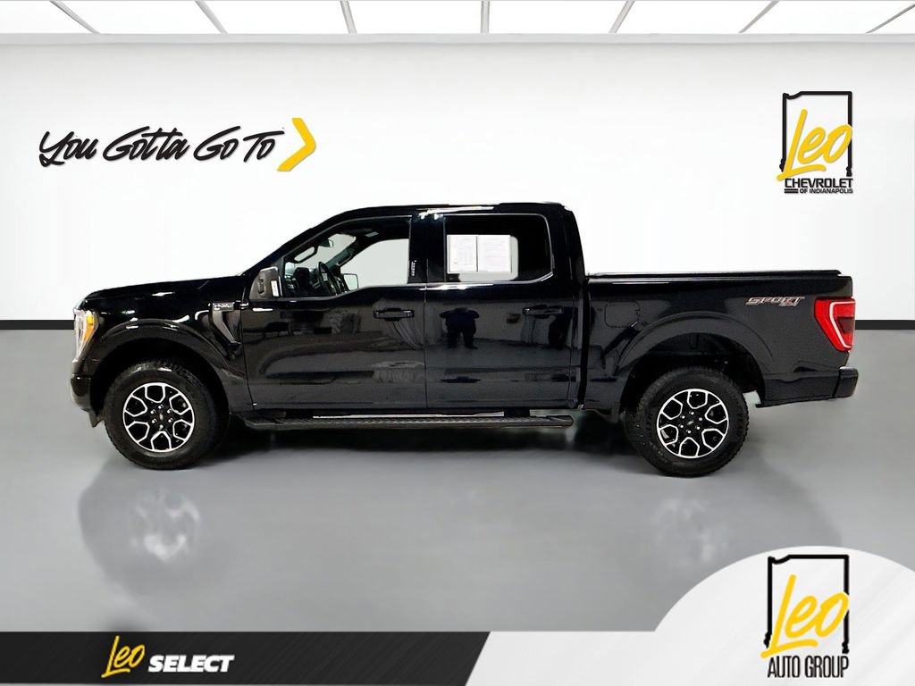 Used 2023 Ford F150 XLT w/ Equipment Group 302A High AWD/4WD image 8