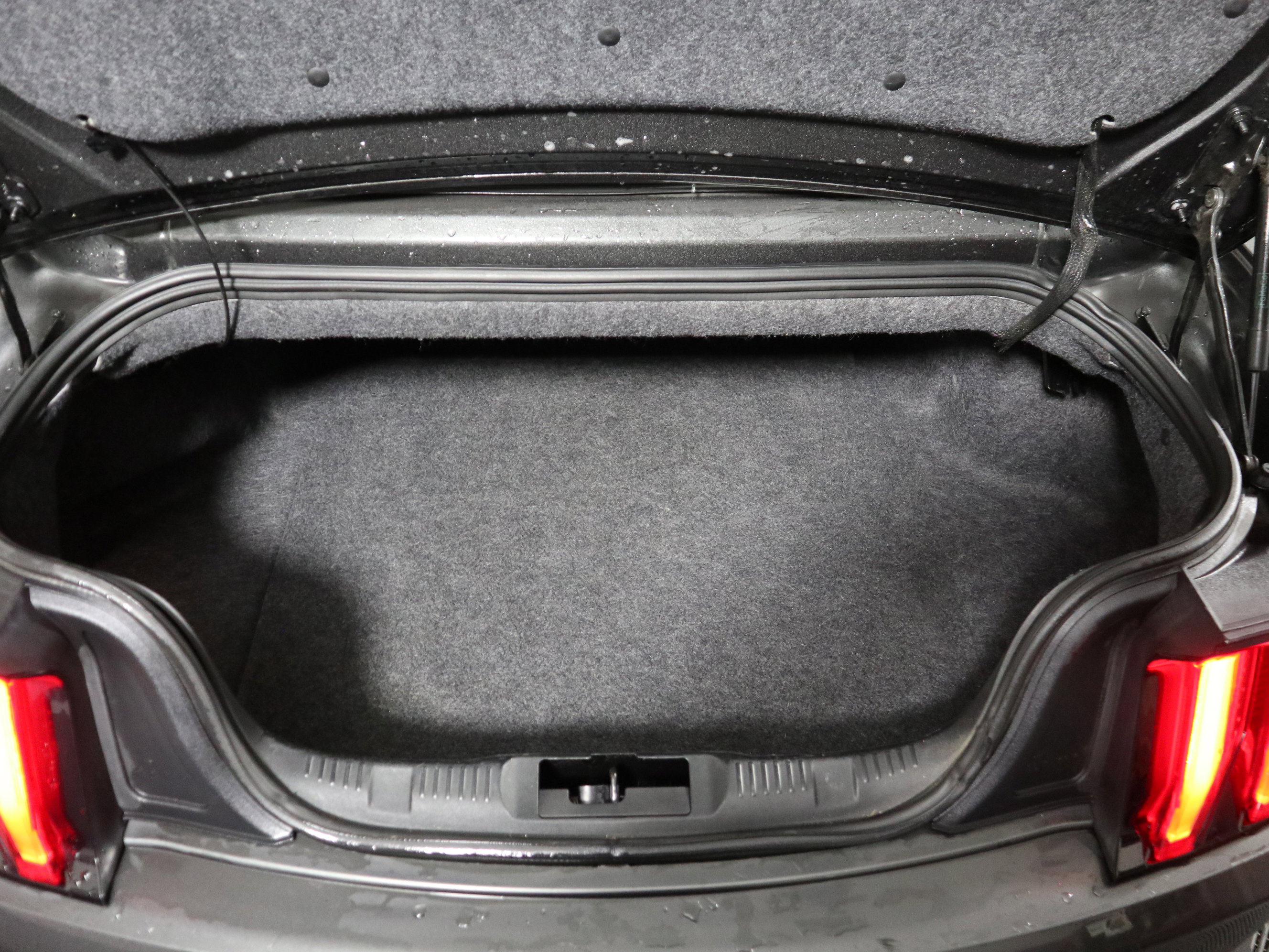 Used 2019 Ford Mustang Premium image 8