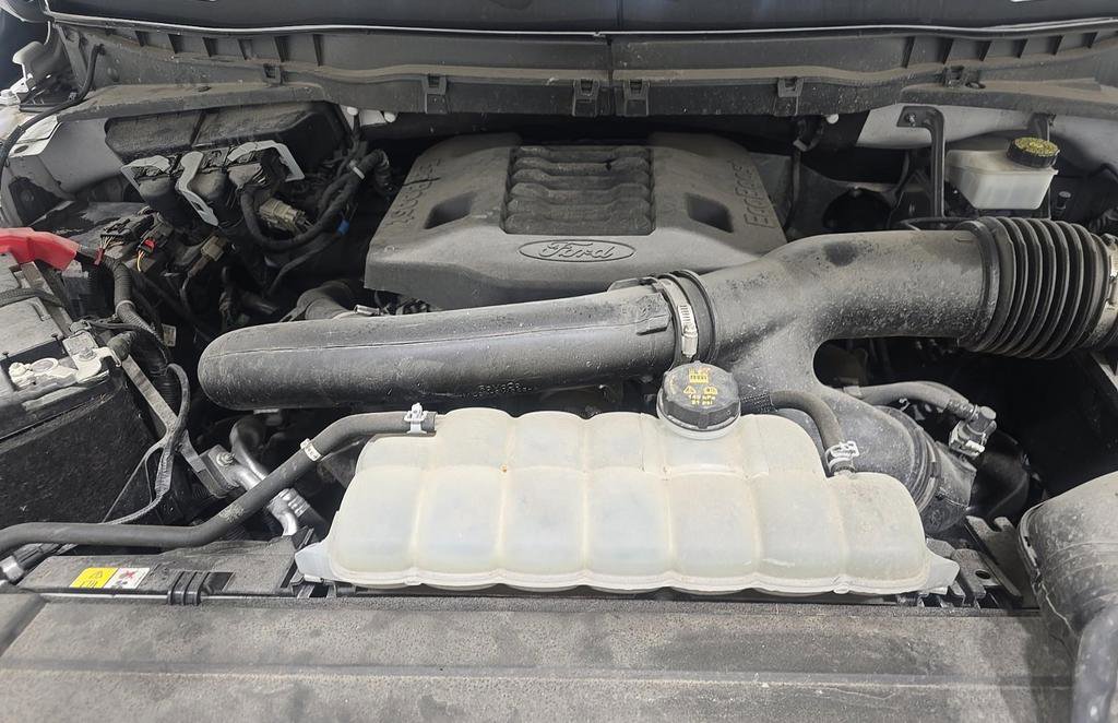 Used 2023 Ford F150 Tremor w/ Equipment Group 402A High AWD/4WD image 16