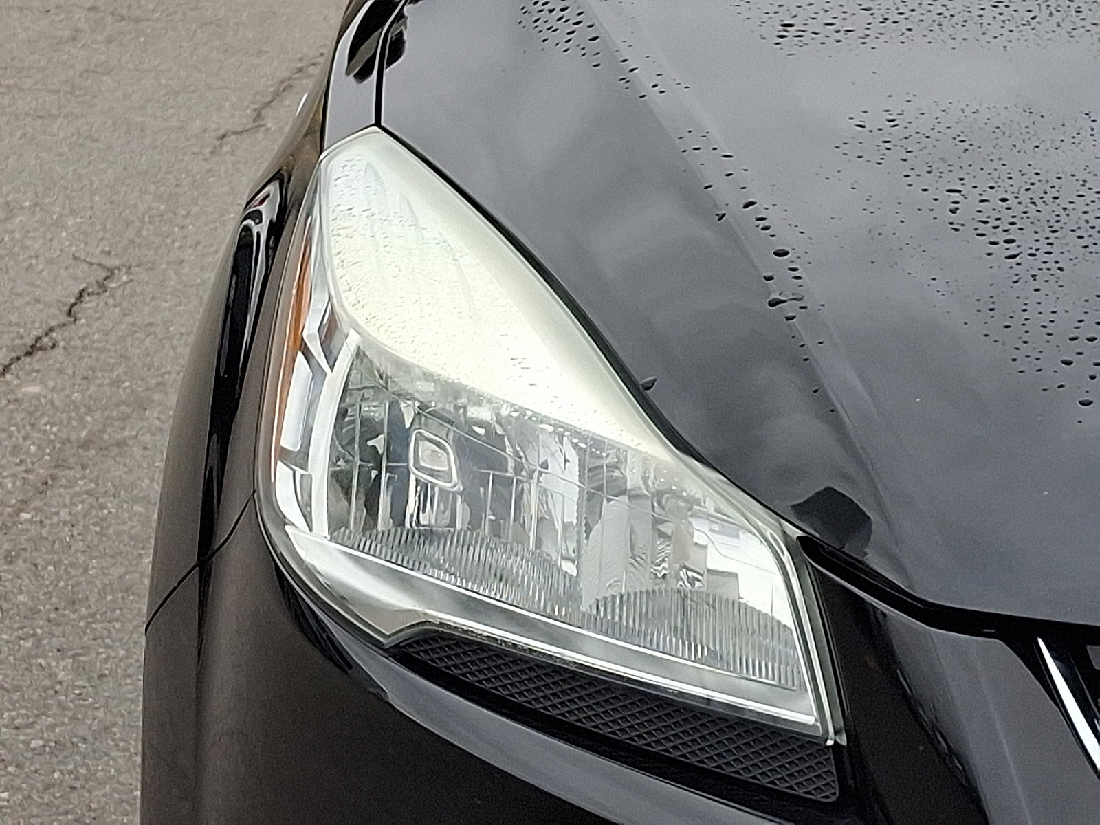 Used 2016 Ford Escape Titanium image 9