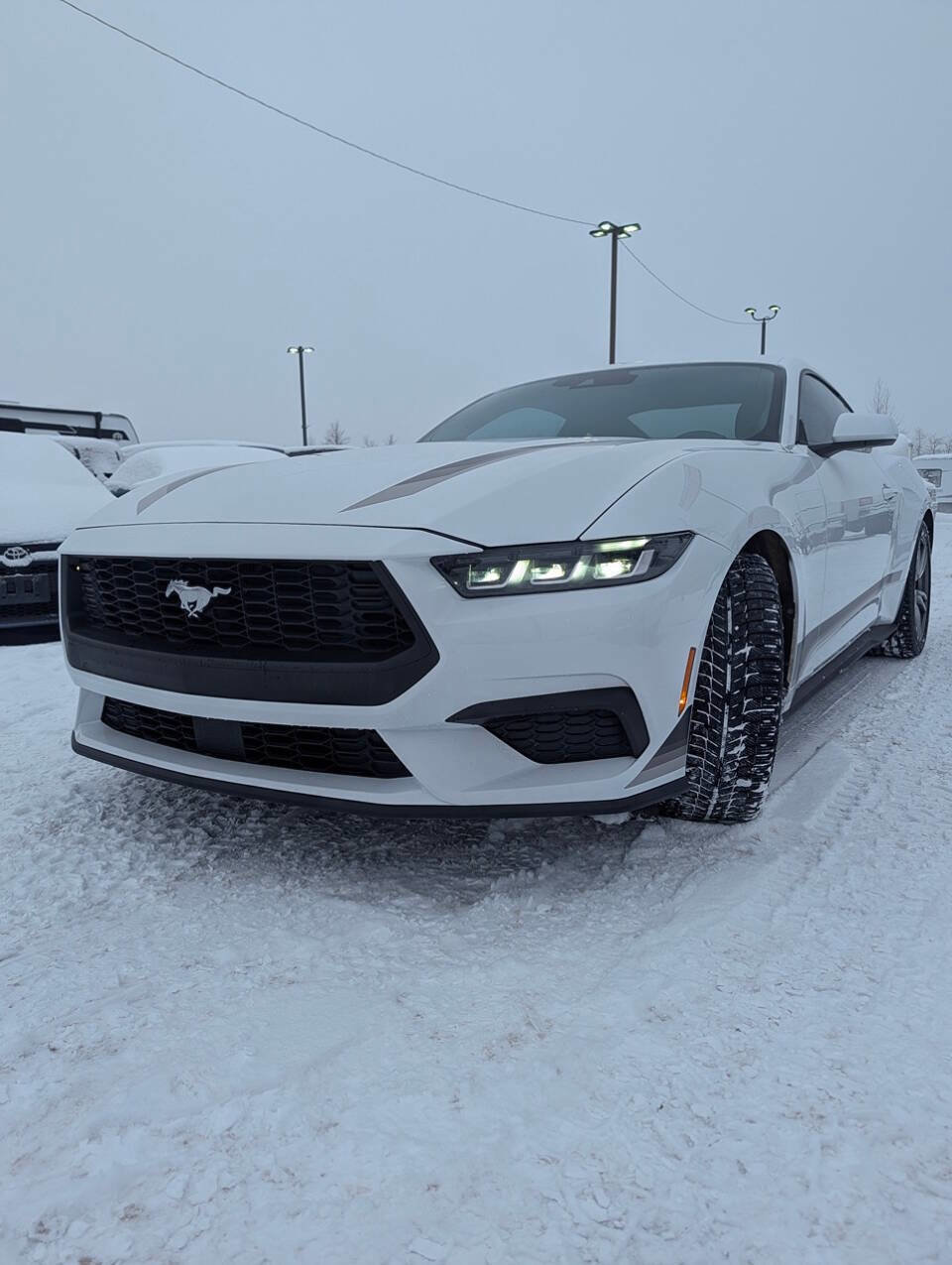 Used 2024 Ford Mustang Coupe image 4