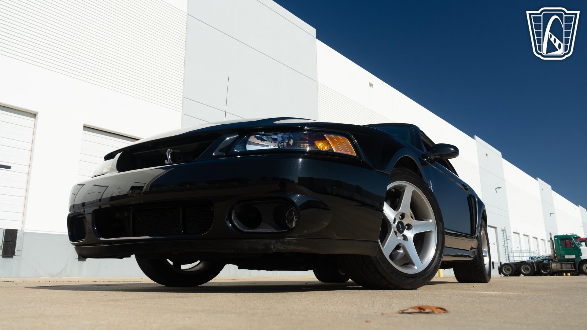 Used 2003 Ford Mustang Cobra image 4