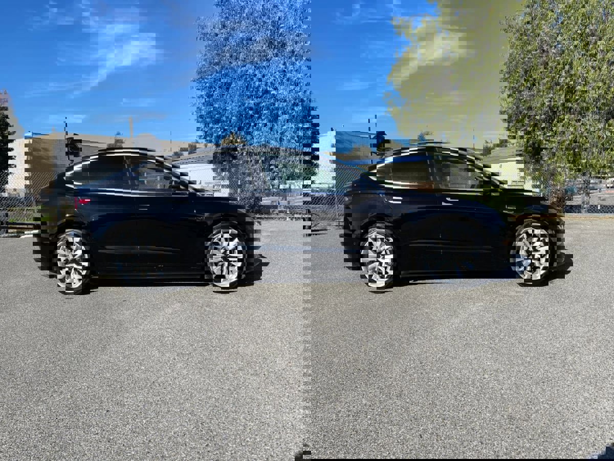 Used 2020 Tesla Model 3 Standard Range Plus image 4