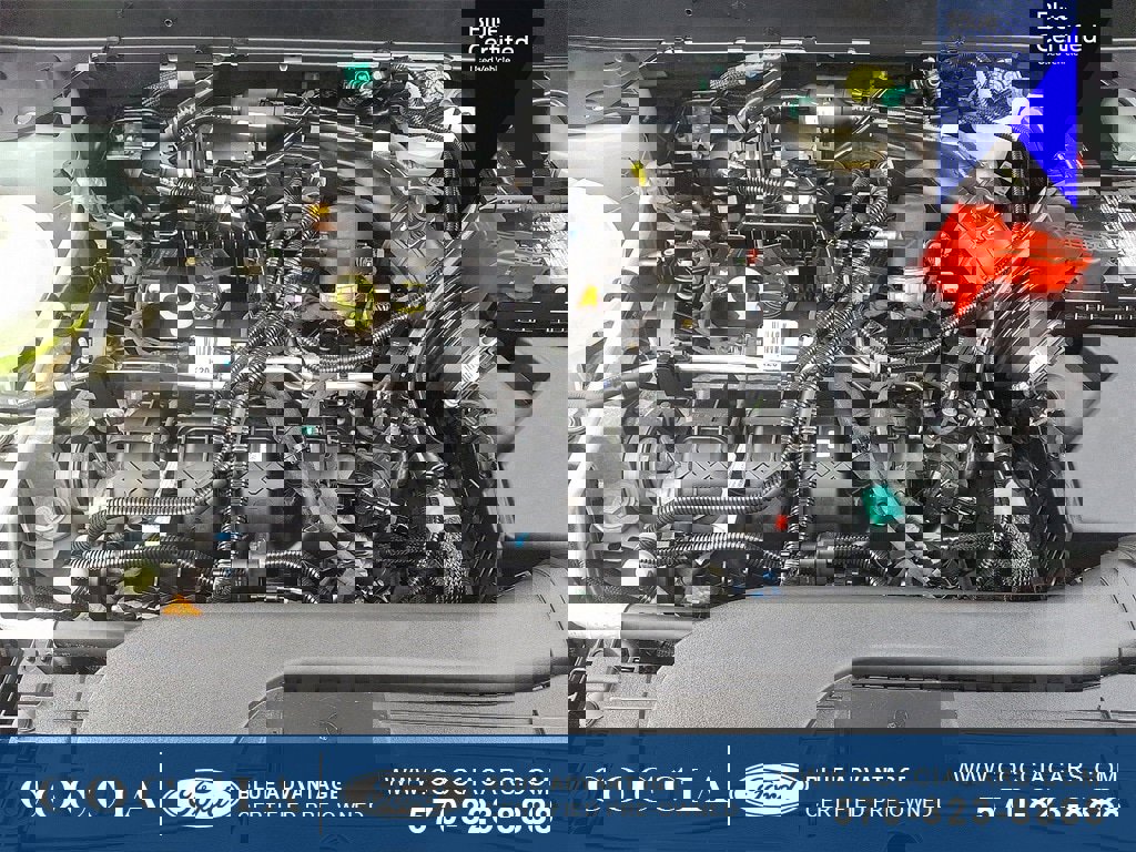 Certified 2024 Ford Maverick XLT w/ Equipment Group 300A Standard image 27