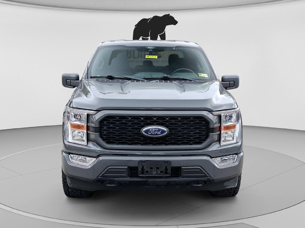 Used 2021 Ford F150 XL w/ STX Appearance Package AWD/4WD image 8