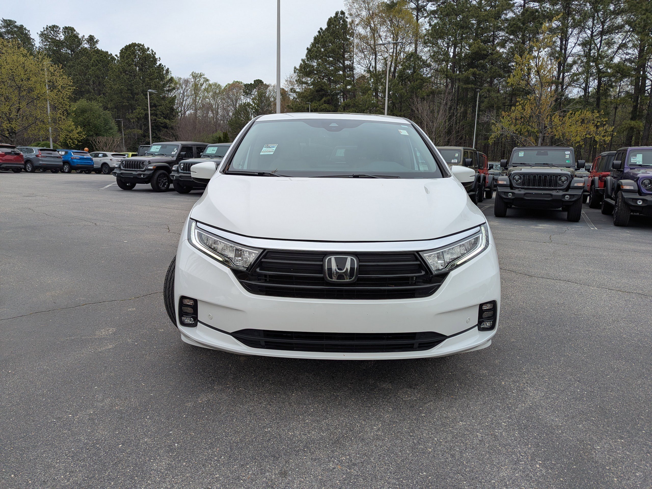 Used 2024 Honda Odyssey Elite image 2