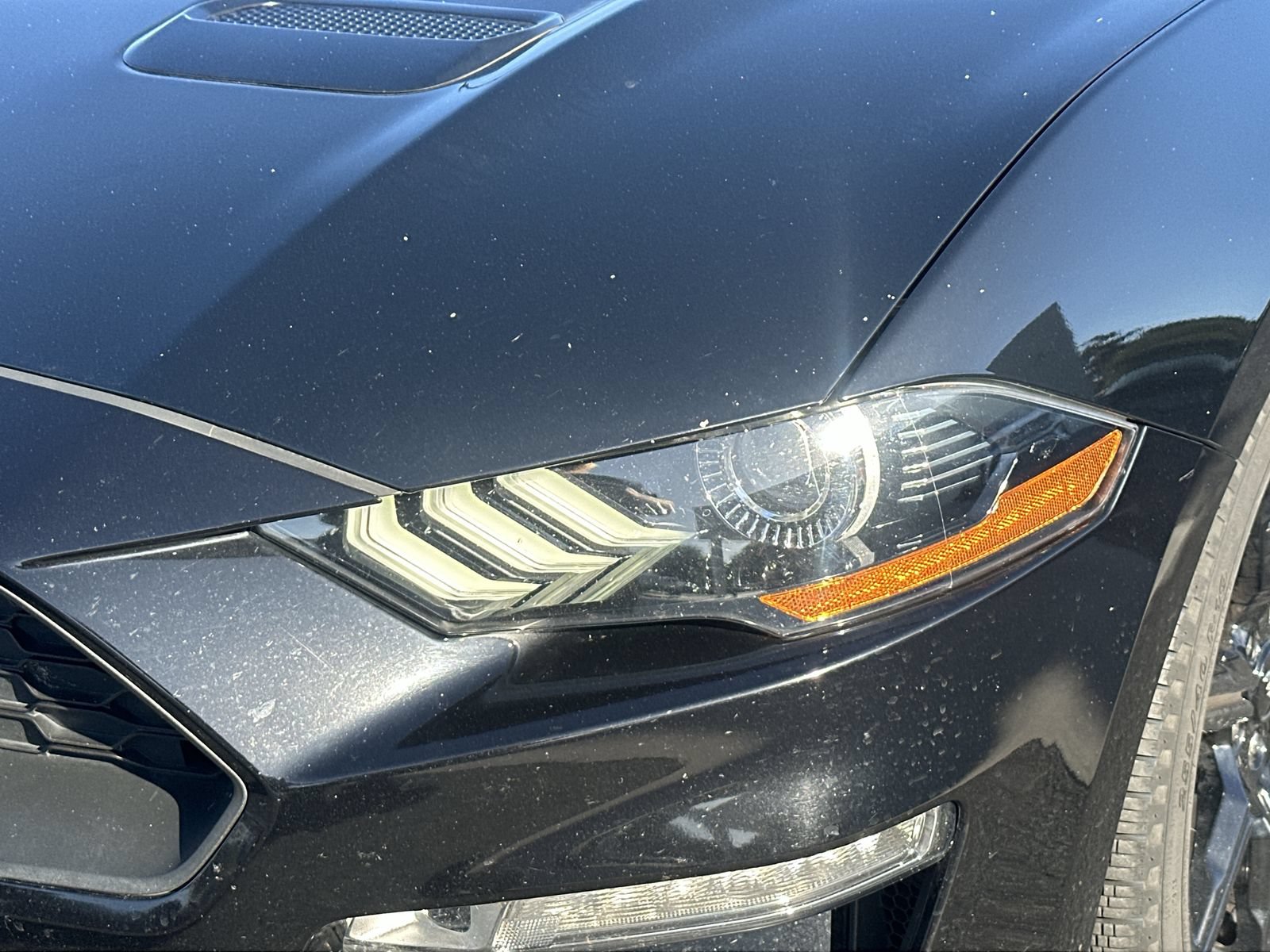 Used 2020 Ford Mustang Premium w/ Black Accent Package RWD image 11