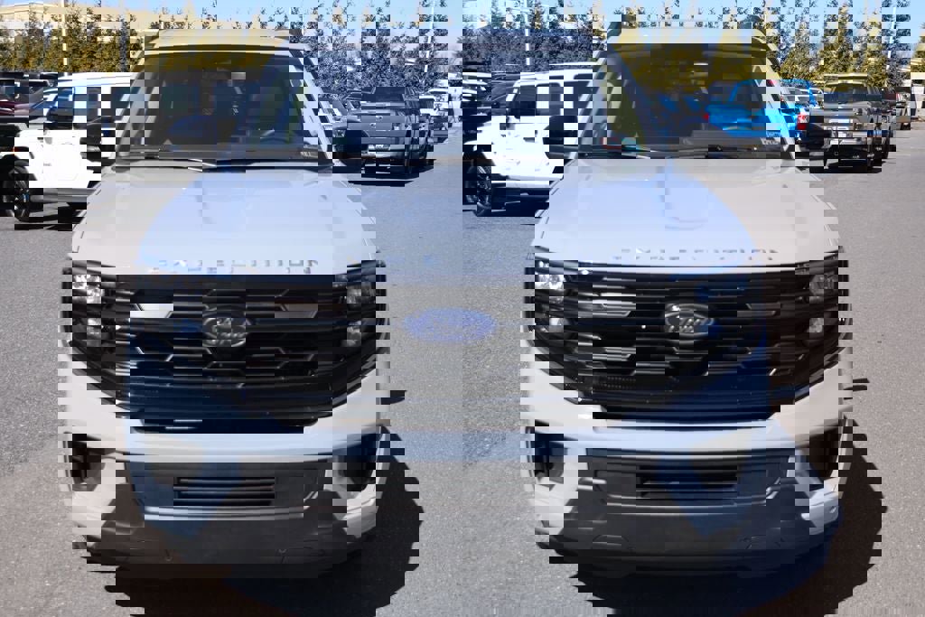 Used 2025 Ford Expedition Active image 4