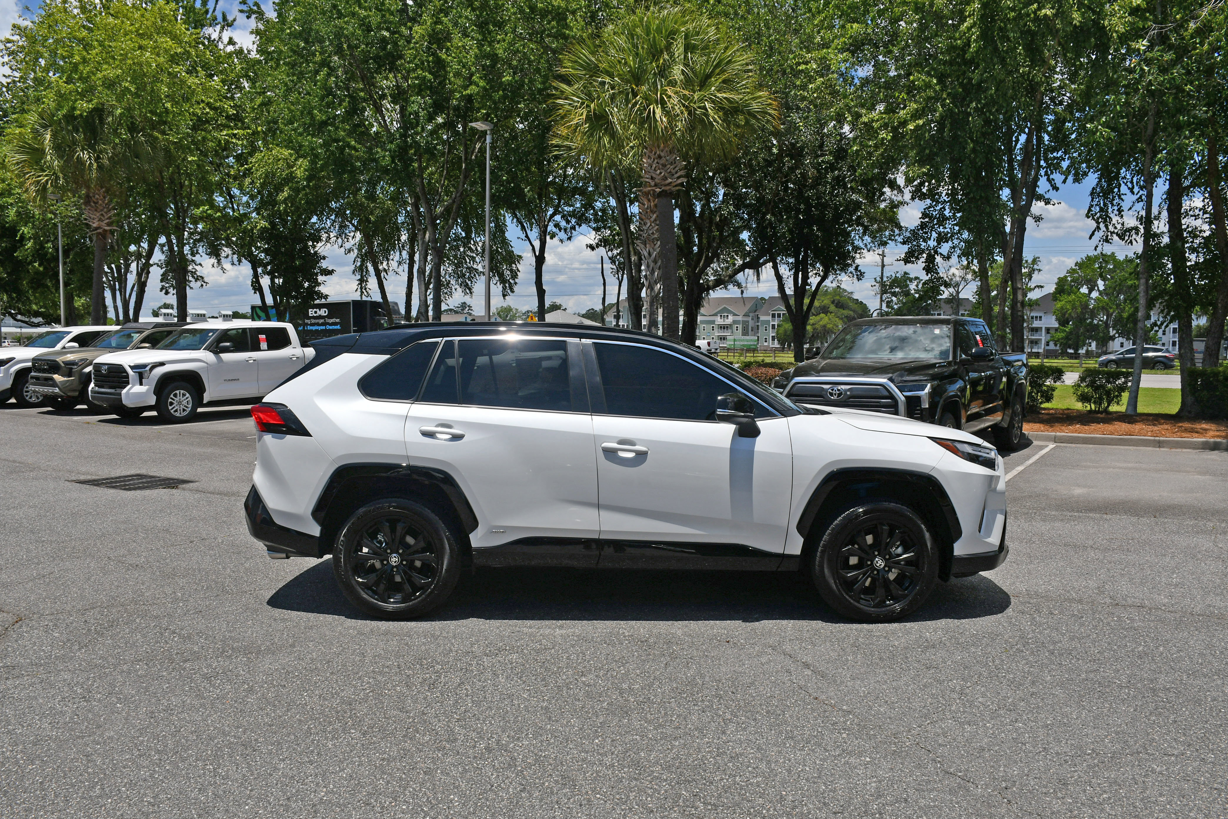 Used 2023 Toyota RAV4 XSE AWD/4WD image 5