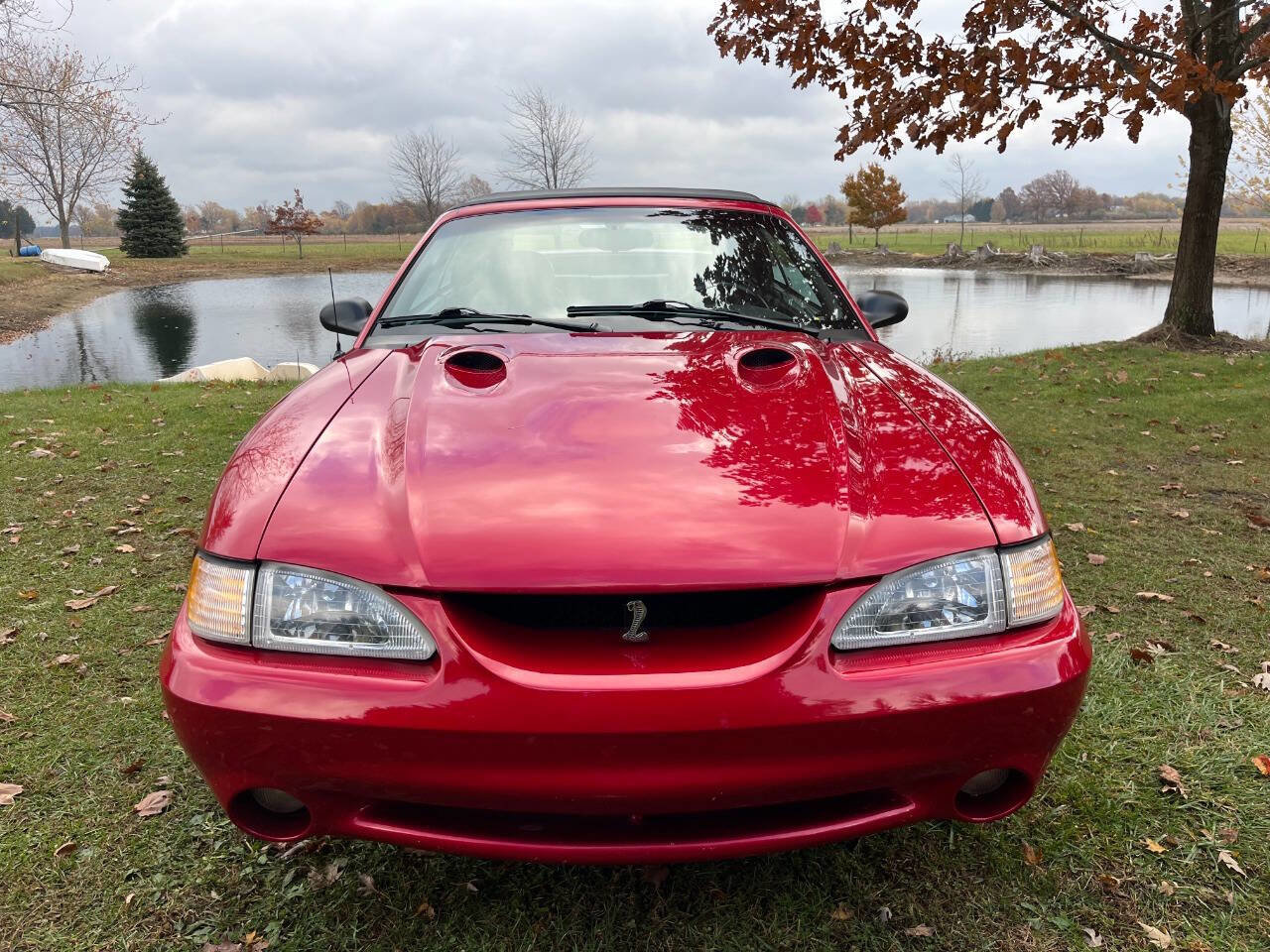 Used 1996 Ford Mustang Cobra image 2