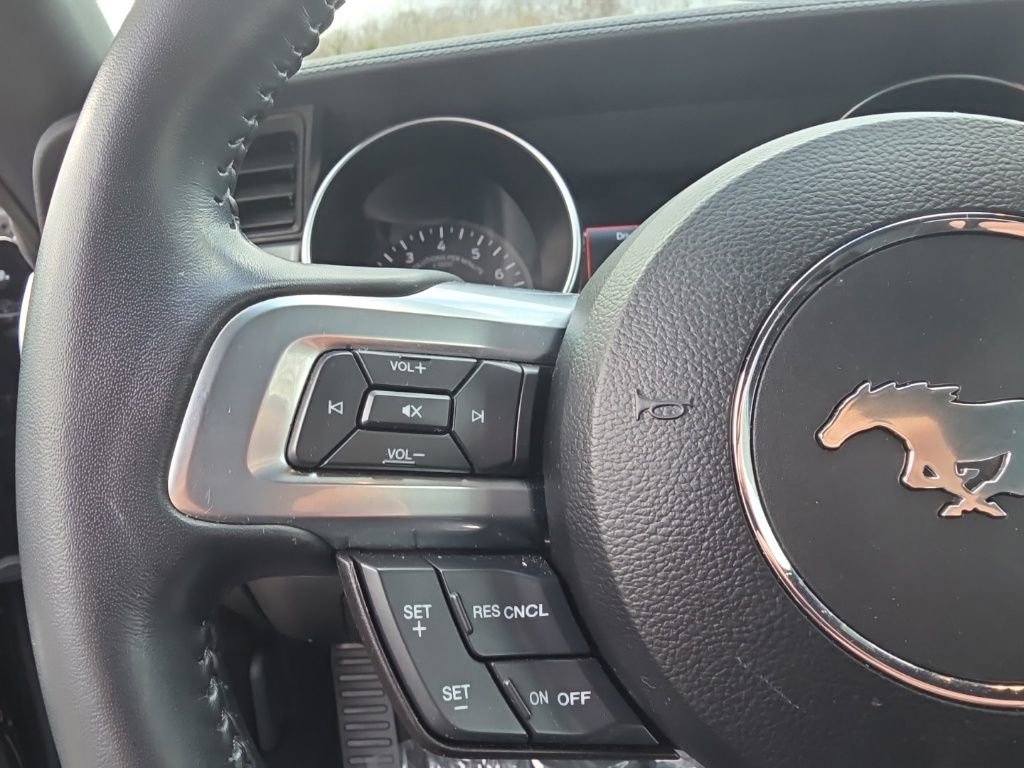 Used 2023 Ford Mustang GT w/ Equipment Group 301A image 16