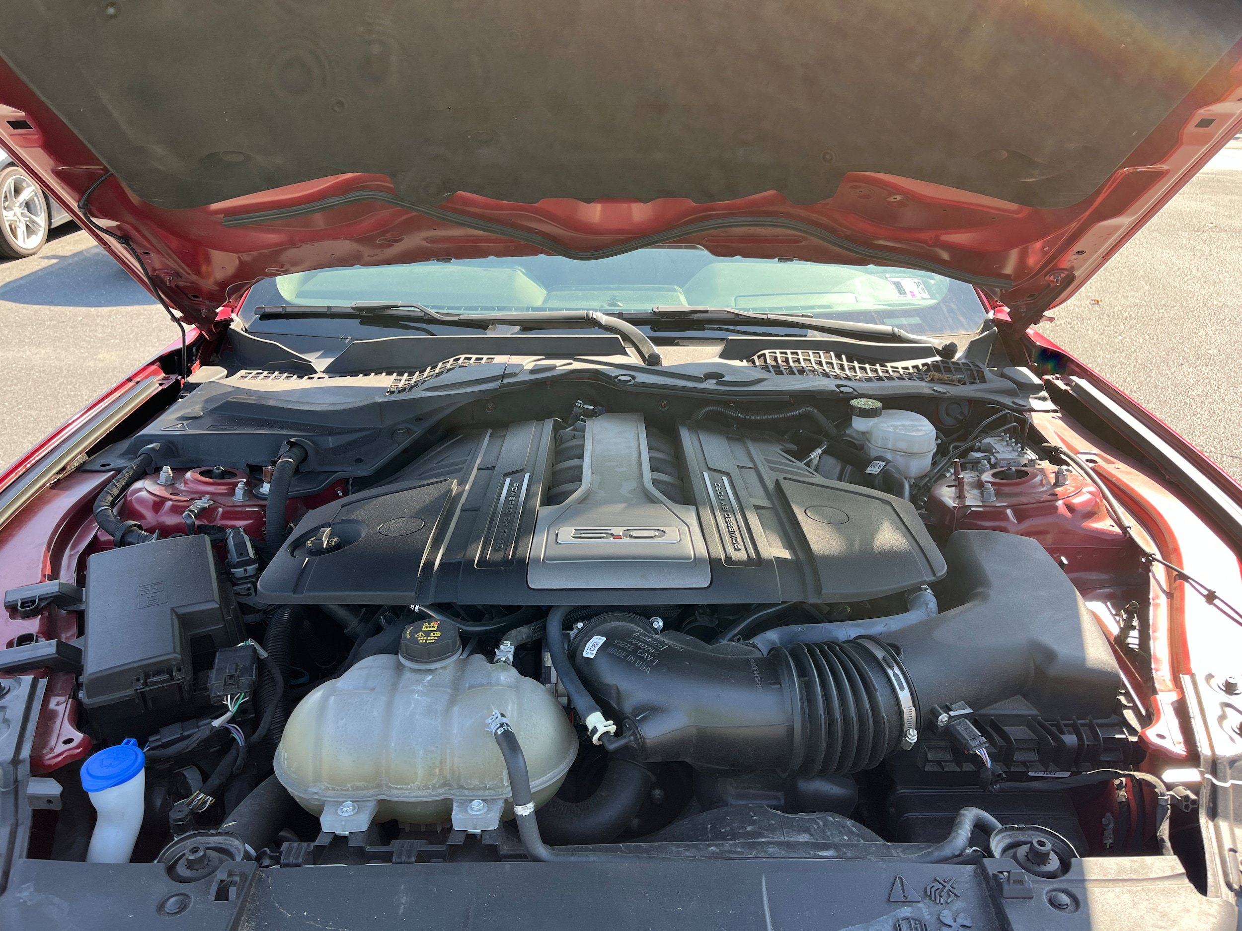 Used 2020 Ford Mustang GT w/ Equipment Group 301A RWD image 11