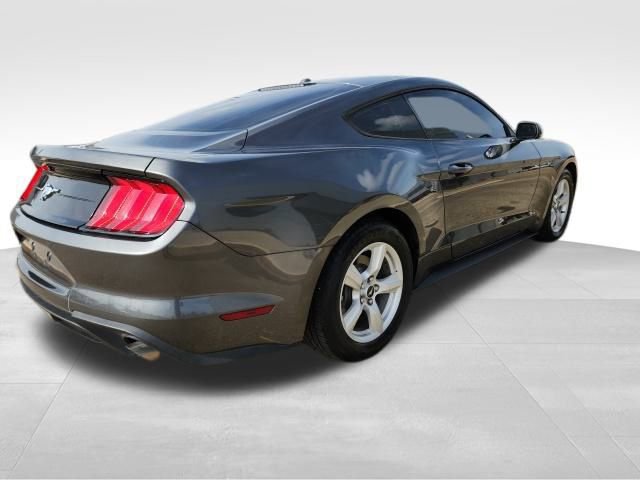 Used 2019 Ford Mustang Coupe image 3