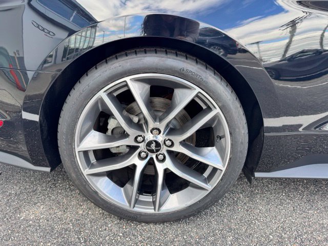 Used 2017 Ford Mustang GT Premium w/ Equipment Group 401A RWD image 19