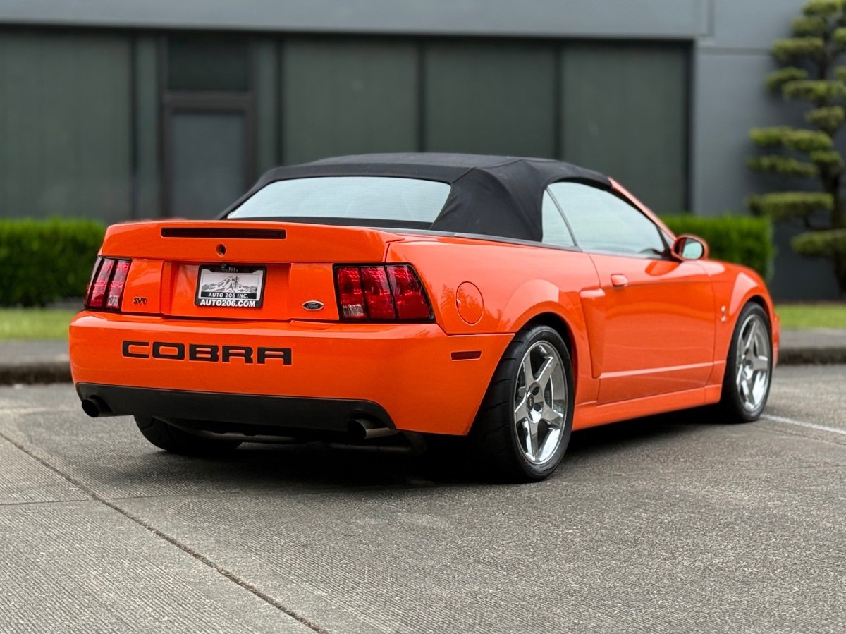 Used 2003 Ford Mustang Cobra RWD image 3