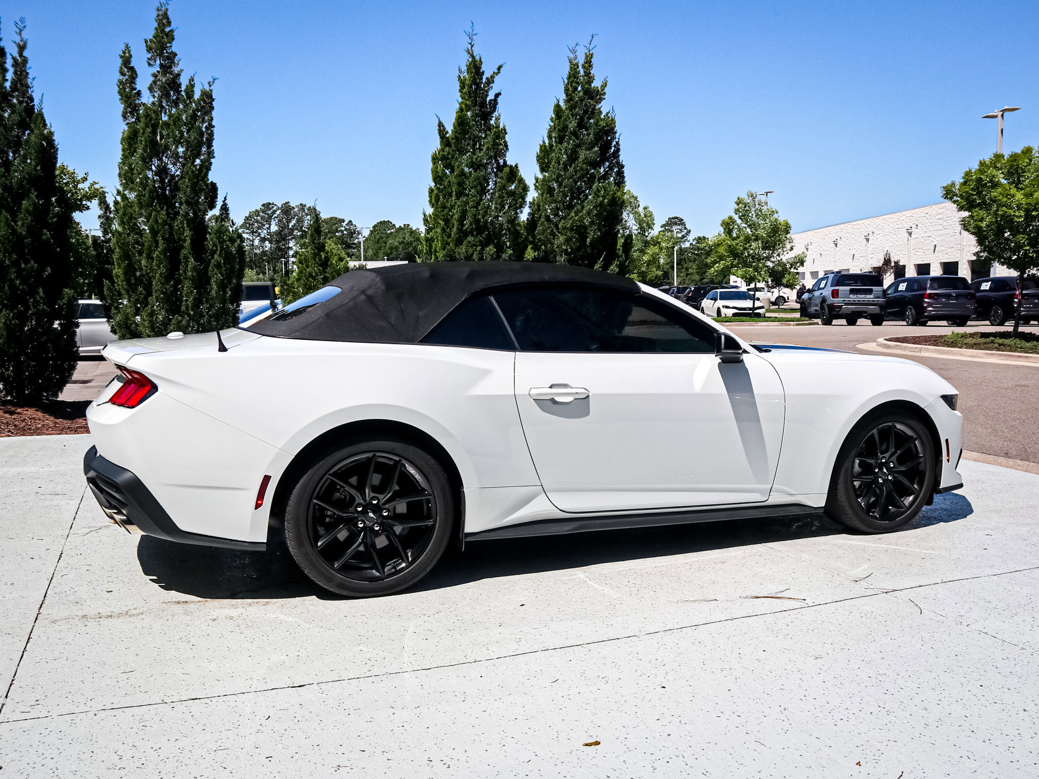 Used 2024 Ford Mustang Premium RWD image 11
