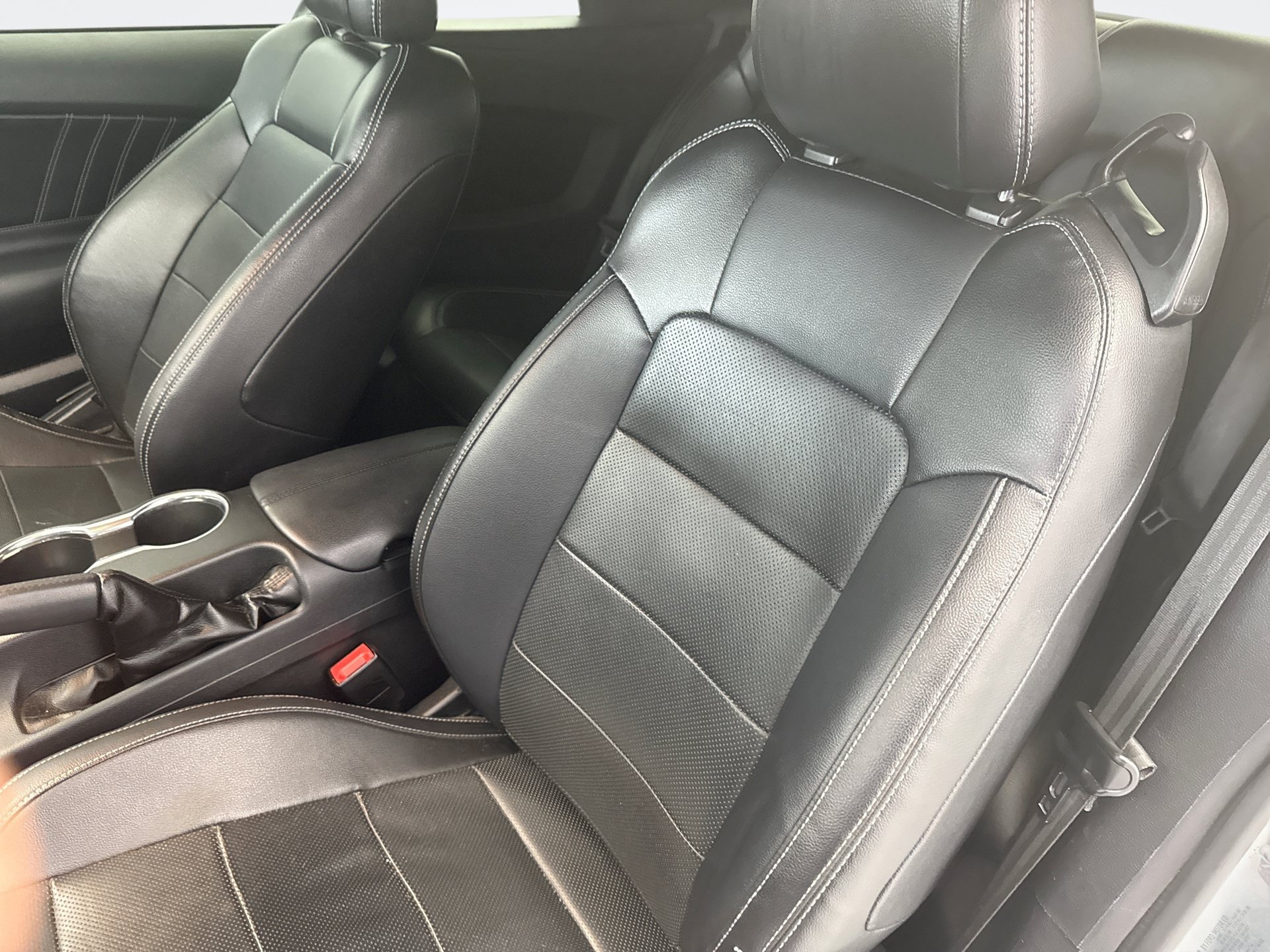Used 2019 Ford Mustang Premium RWD image 11