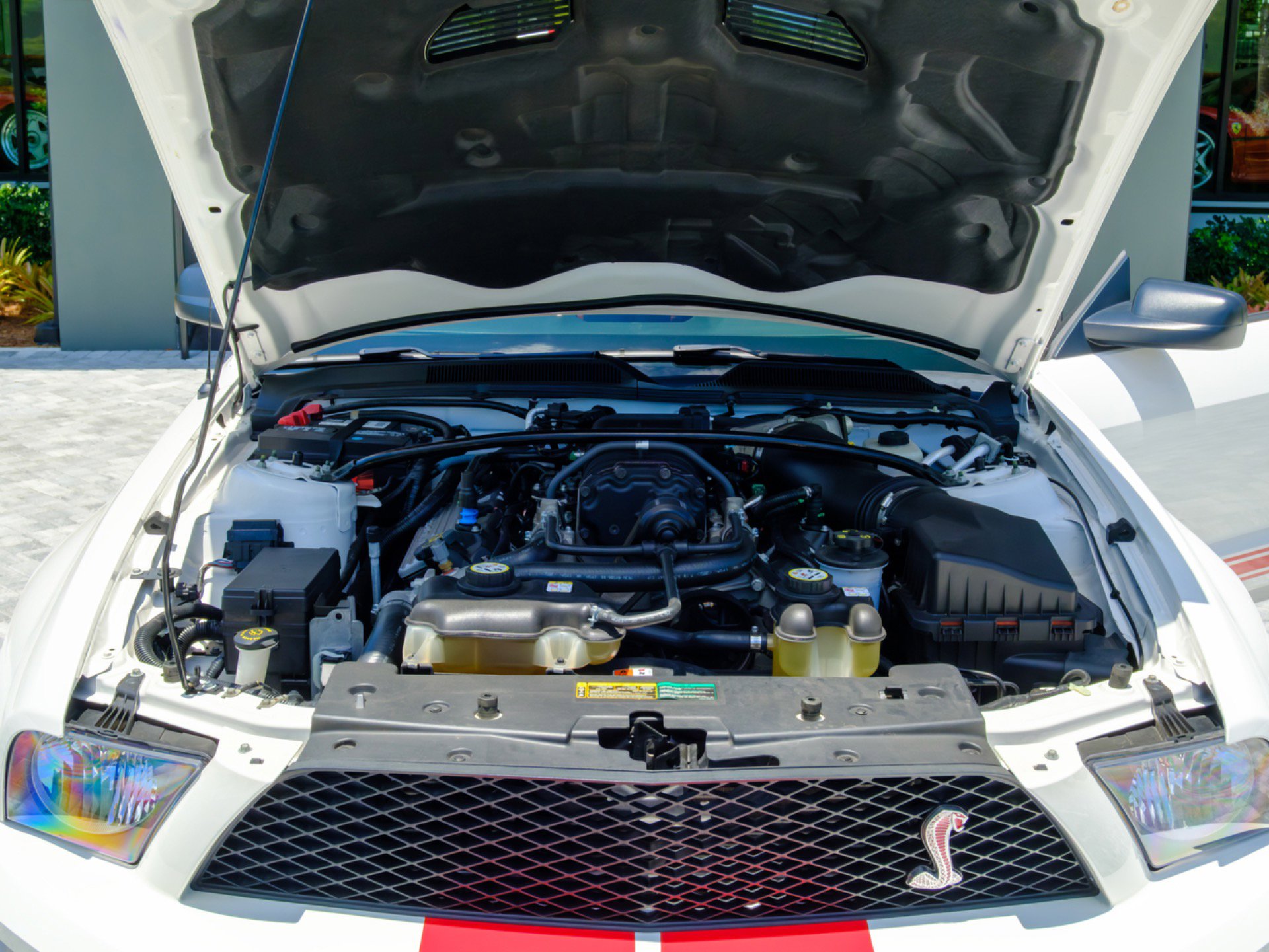 Used 2007 Ford Mustang Shelby GT500 RWD image 44