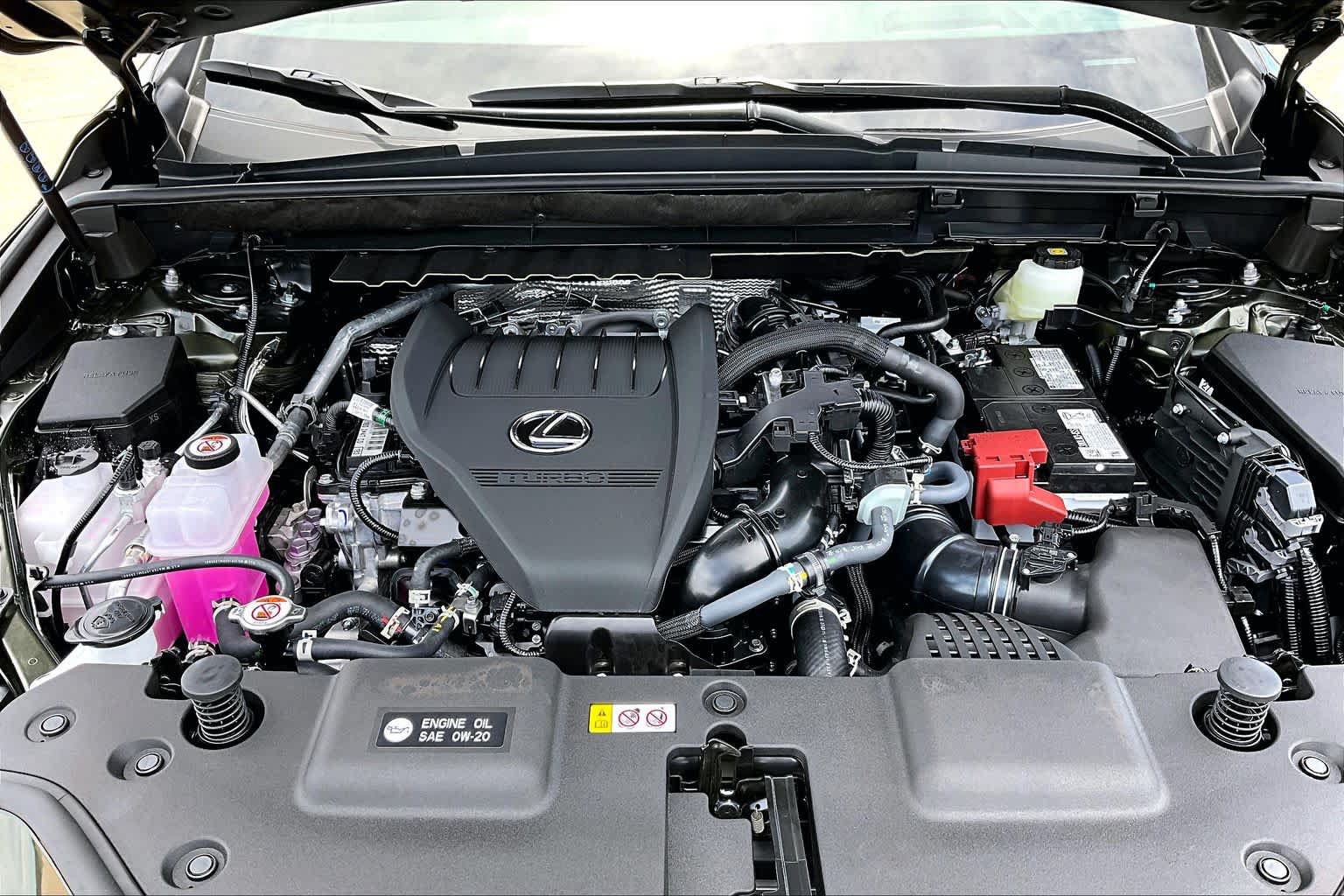 New 2026 Lexus NX 350 AWD w/ Cold Area Package image 16