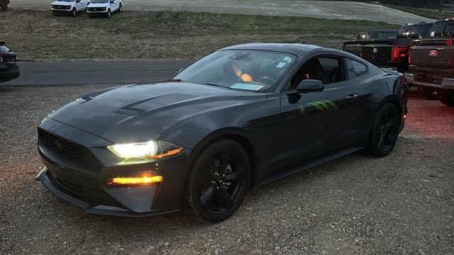Used 2023 Ford Mustang Coupe w/ Equipment Group 101A image 3