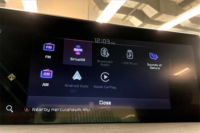 Used 2024 Kia Telluride SX X-Pro image 33