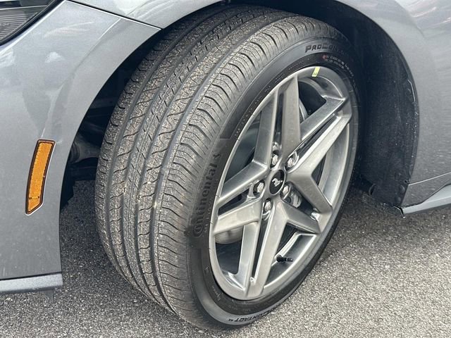 New 2026 Ford Mustang GT image 15