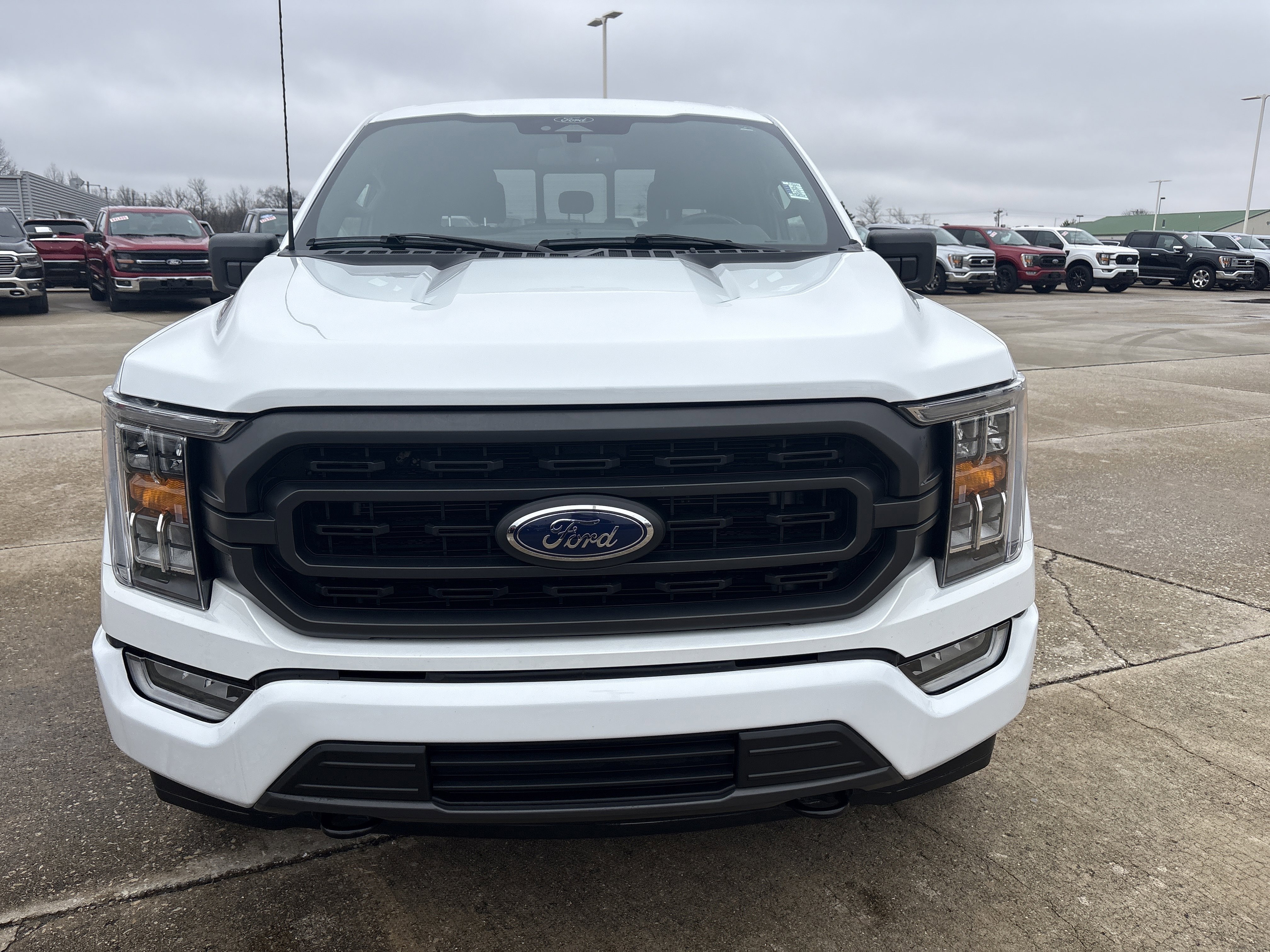 Used 2023 Ford F150 XLT w/ Equipment Group 302A High image 2