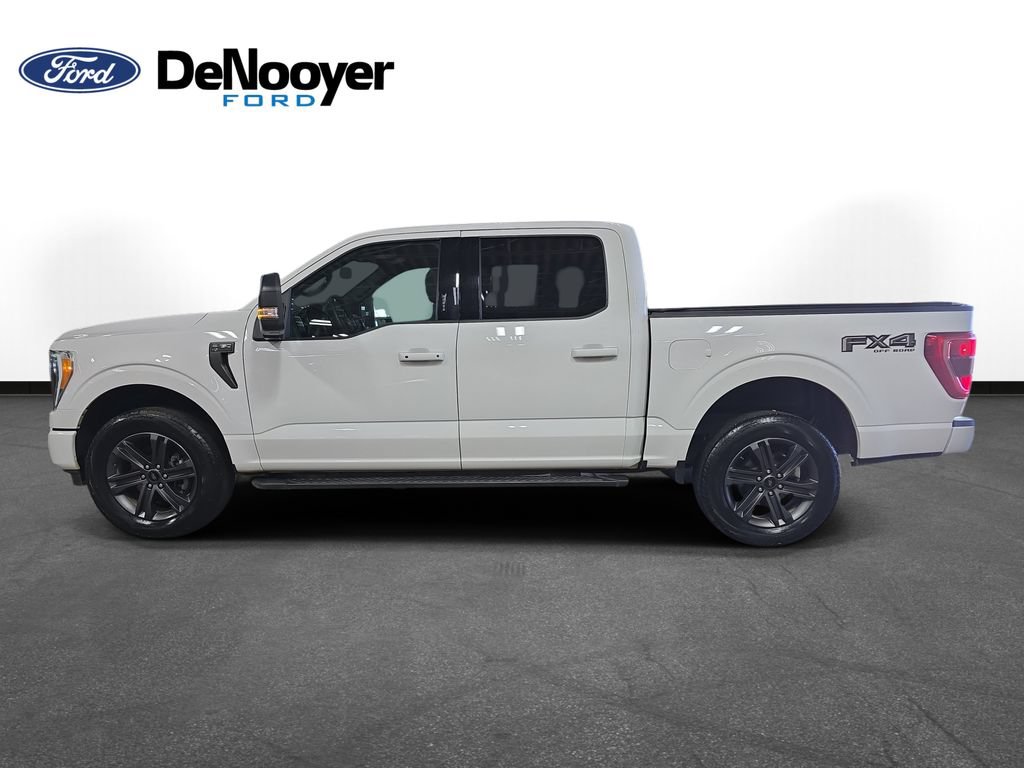 Used 2023 Ford F150 XLT w/ Equipment Group 302A High AWD/4WD image 9
