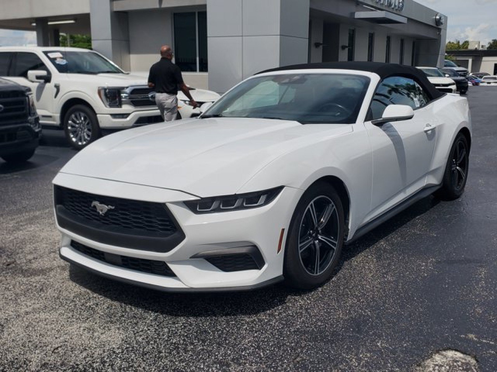 Used 2024 Ford Mustang Premium RWD image 3