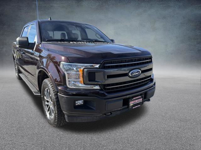 Used 2019 Ford F150 XLT w/ Equipment Group 302A Luxury AWD/4WD image 5