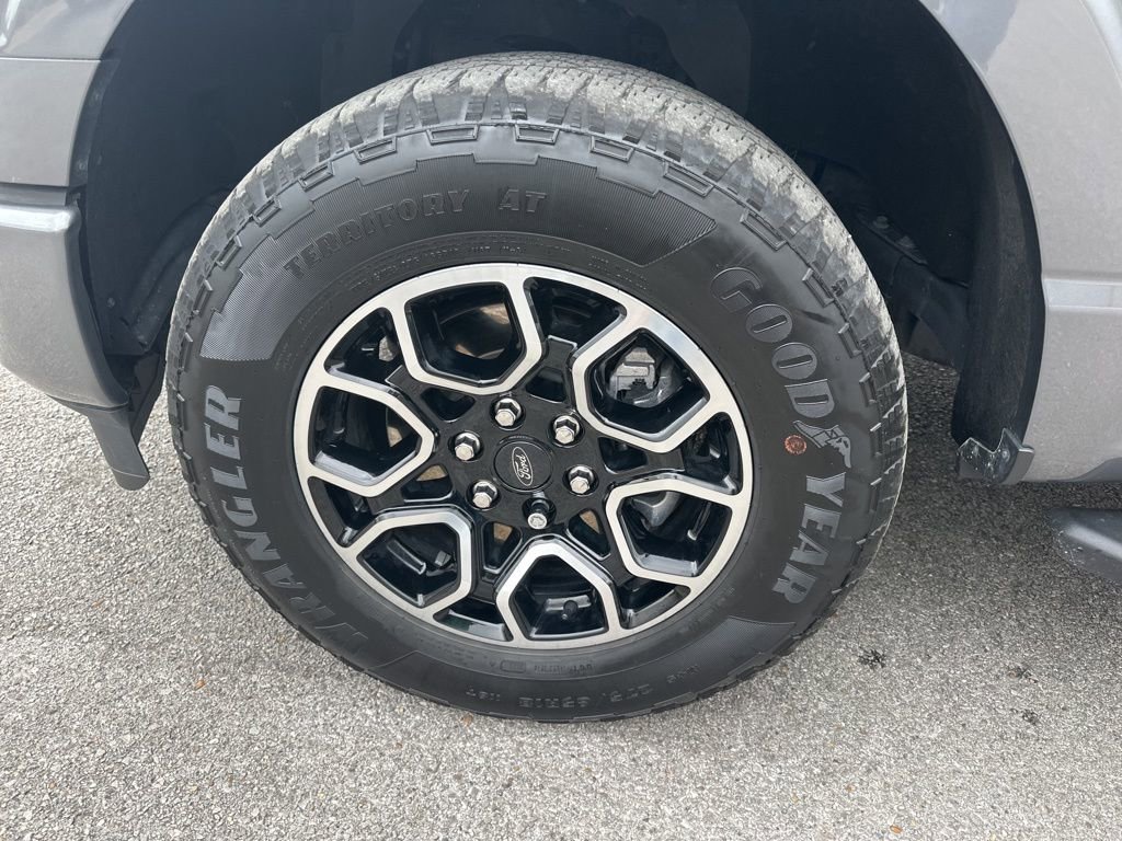 Used 2023 Ford F150 XLT w/ Equipment Group 302A High image 6