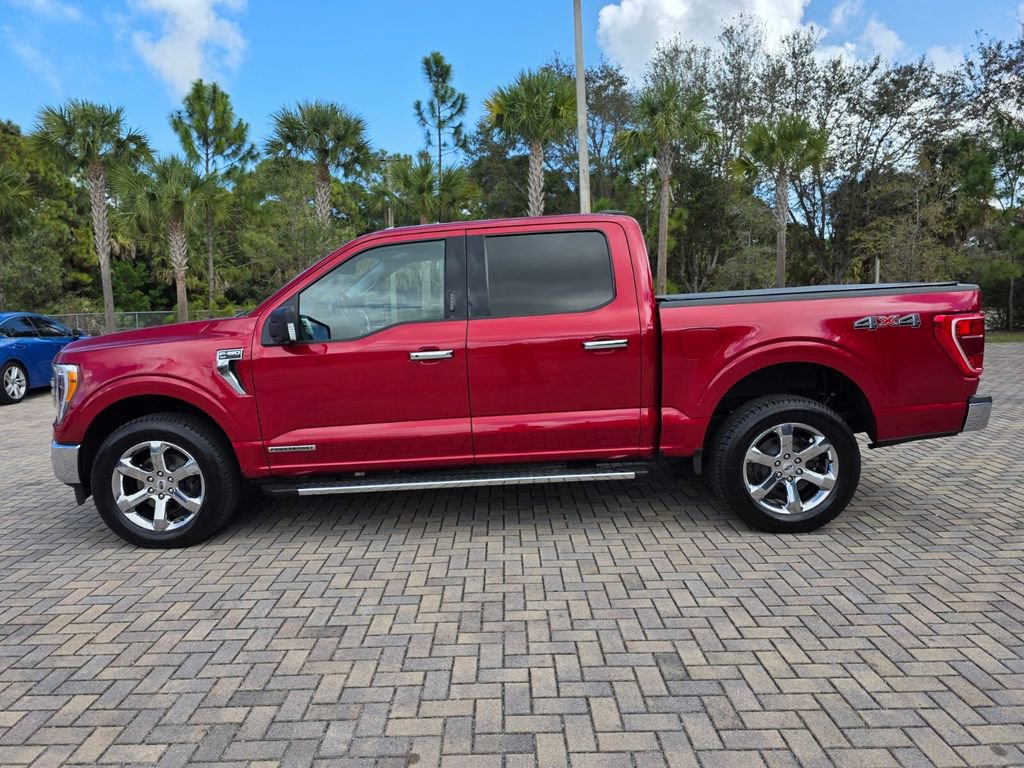 Used 2021 Ford F150 XLT w/ Equipment Group 302A High image 8