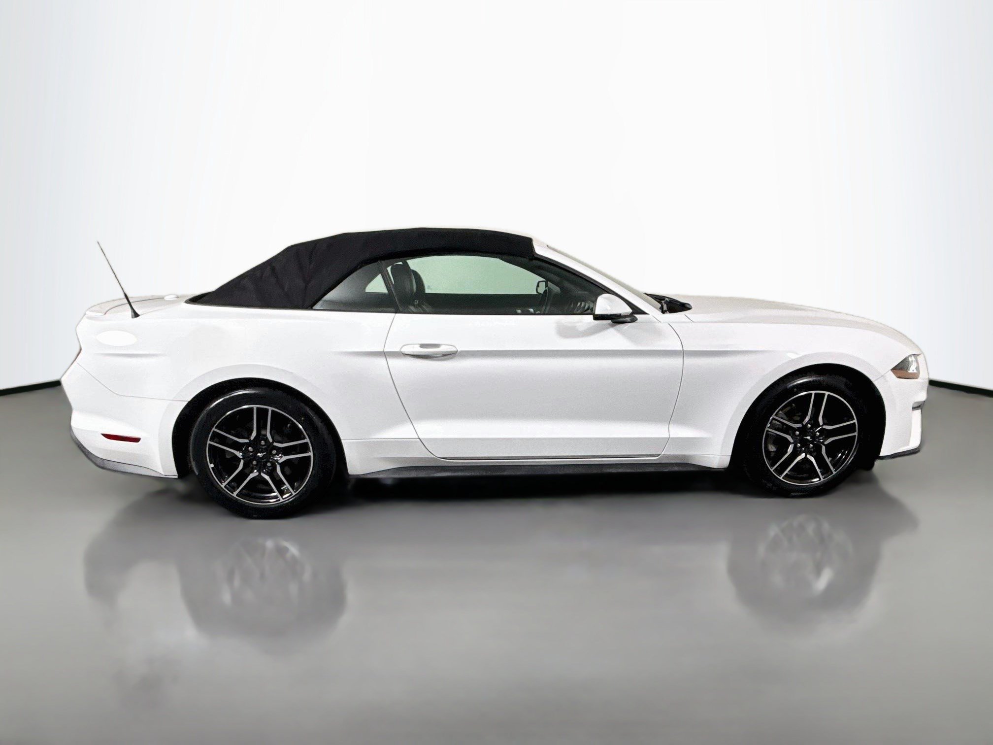 Used 2019 Ford Mustang Premium RWD image 11