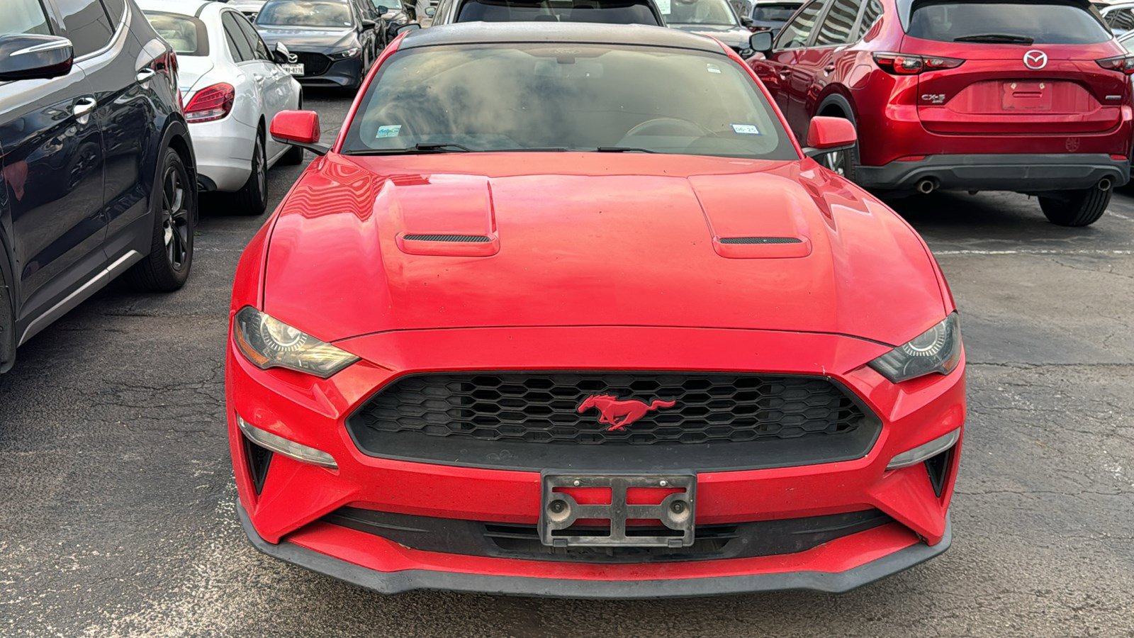 Used 2019 Ford Mustang Coupe w/ Equipment Group 101A RWD image 3