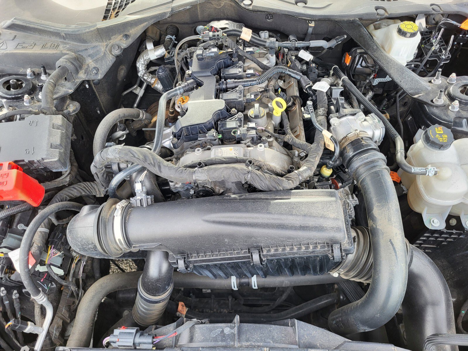 Certified 2024 Ford Mustang Premium RWD image 27