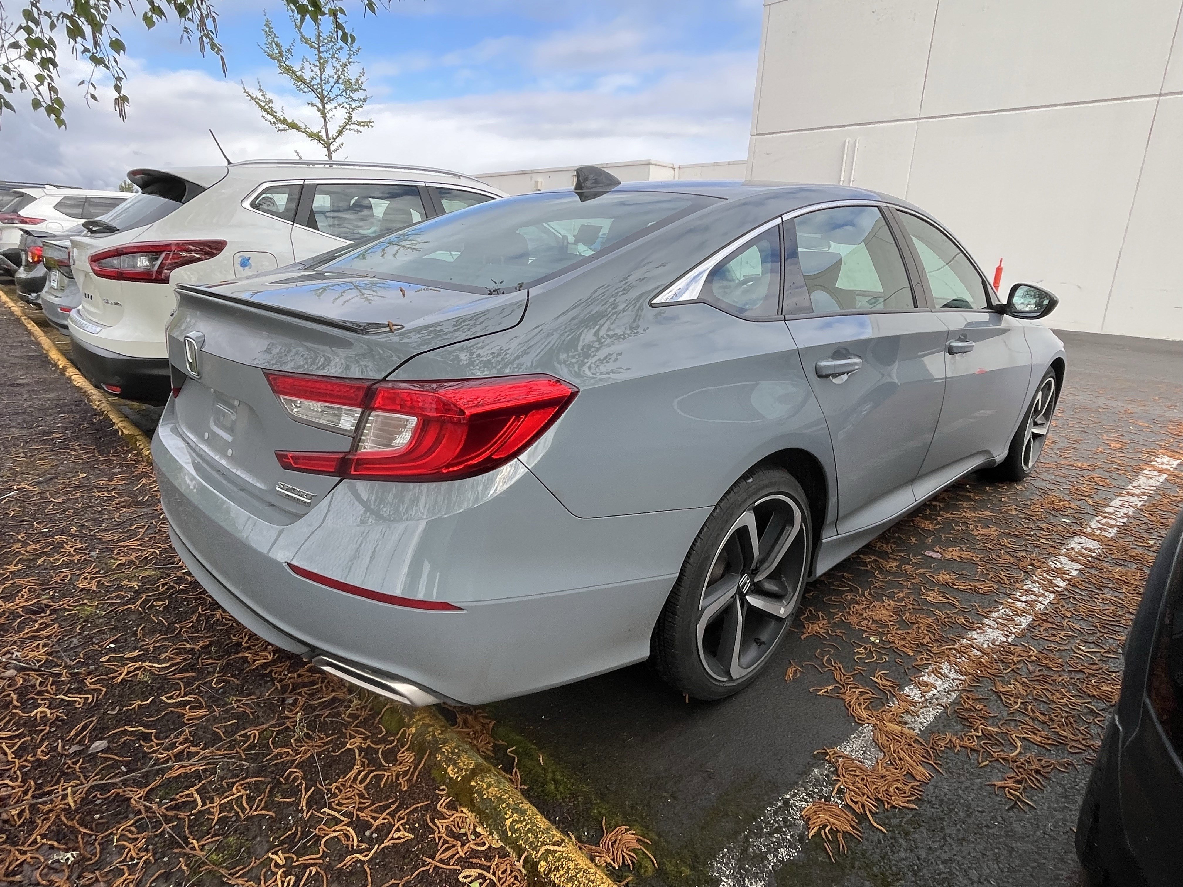Used 2021 Honda Accord Sport Special Edition image 5