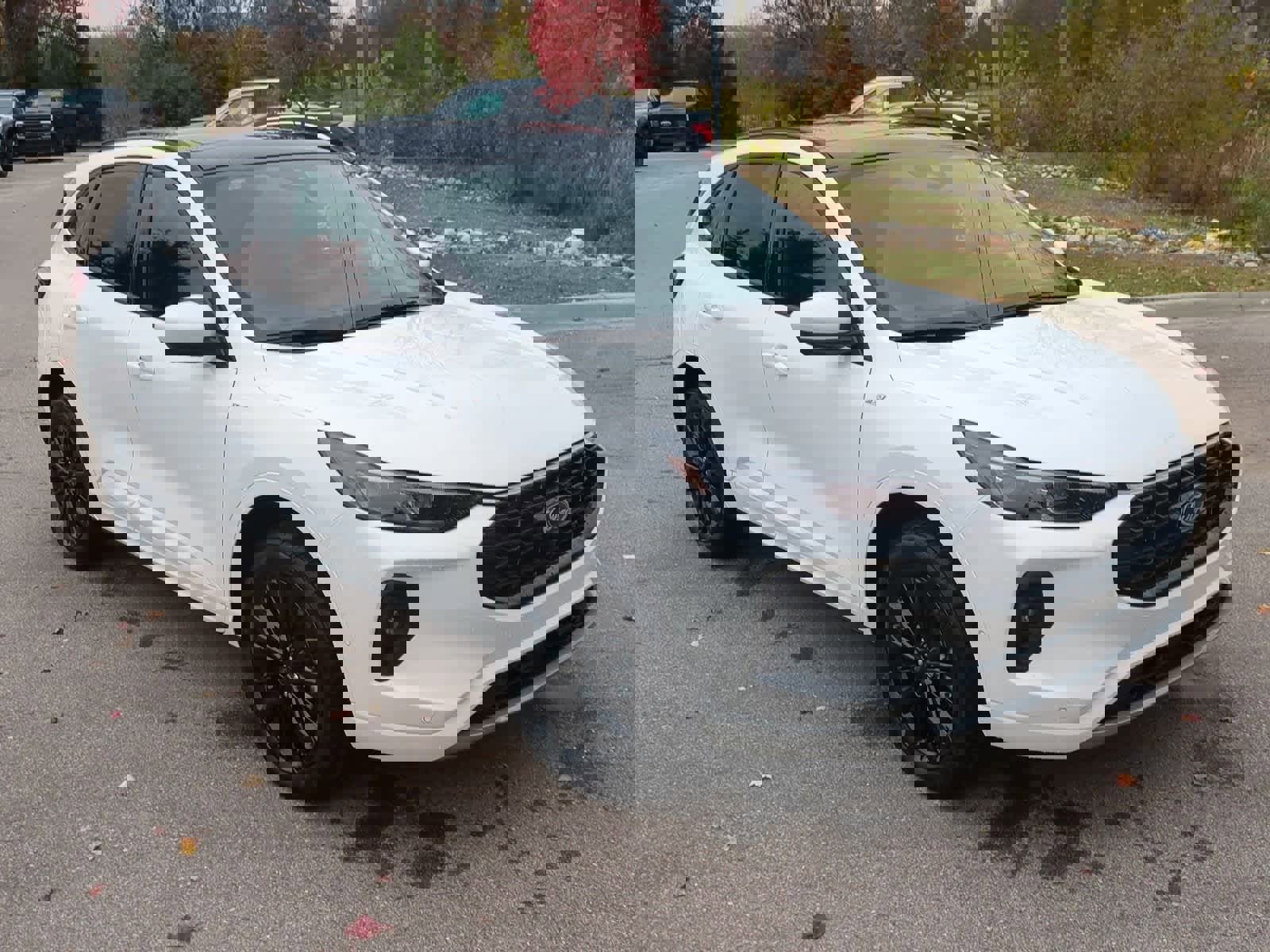 Used 2024 Ford Escape ST-Line Elite w/ Premium Technology Package image 2