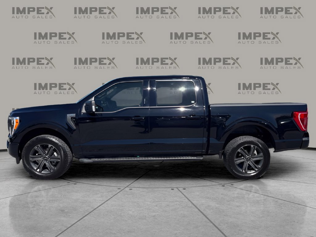 Used 2023 Ford F150 XLT w/ Equipment Group 302A High AWD/4WD image 2