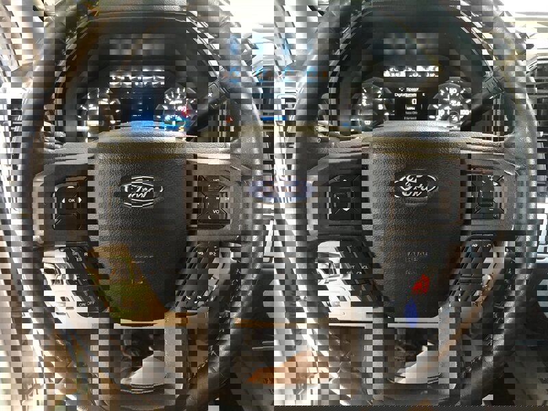 Used 2019 Ford F150 XLT w/ Equipment Group 301A Mid image 7