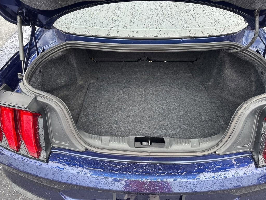 Used 2019 Ford Mustang Premium image 13