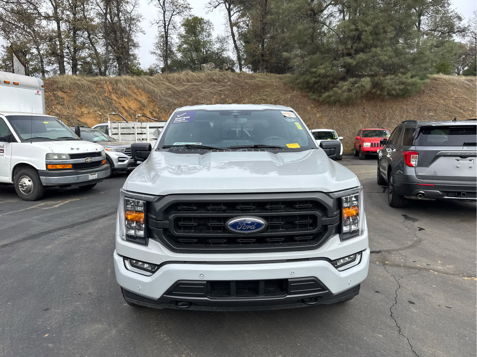 Used 2023 Ford F150 XLT w/ Equipment Group 302A High image 2