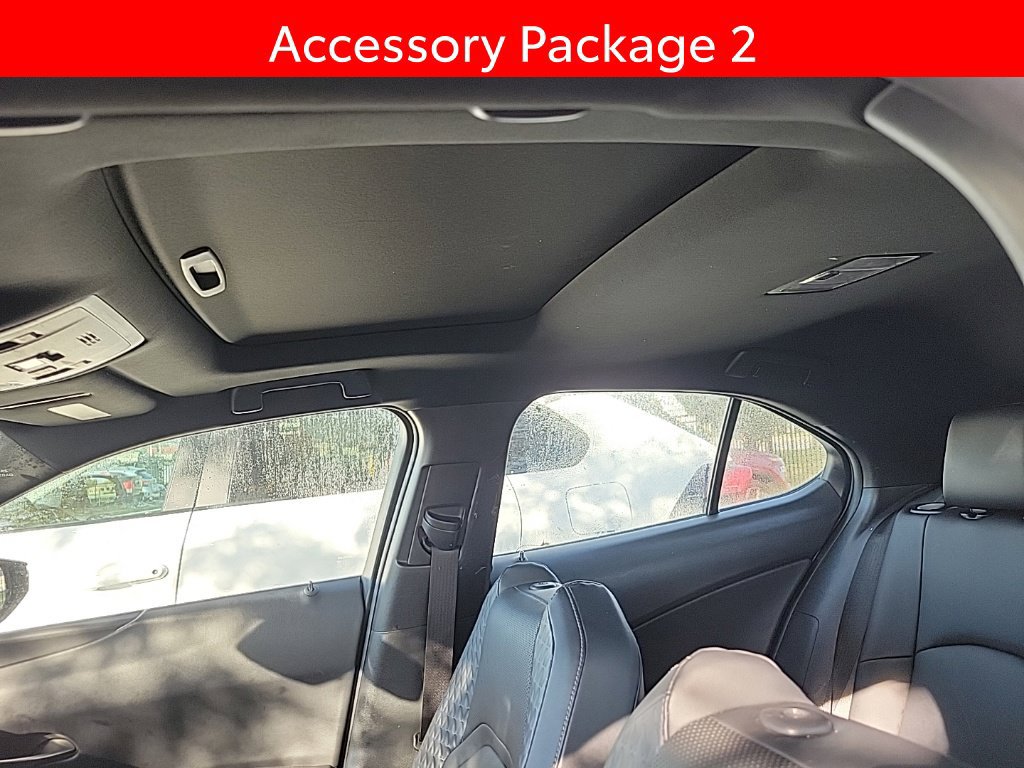 Used 2019 Lexus UX 200 w/ Premium Package FWD image 7