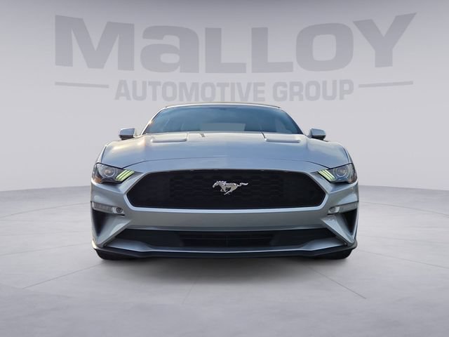 Used 2019 Ford Mustang Premium RWD image 8
