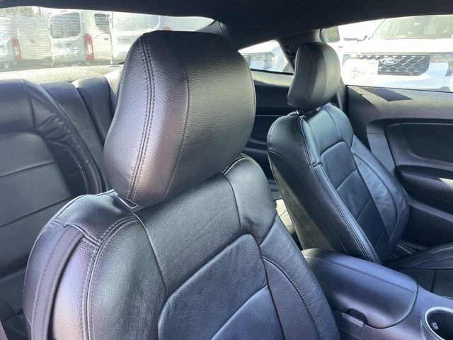 Used 2021 Ford Mustang EcoBoost w/ Equipment Group 101A image 36