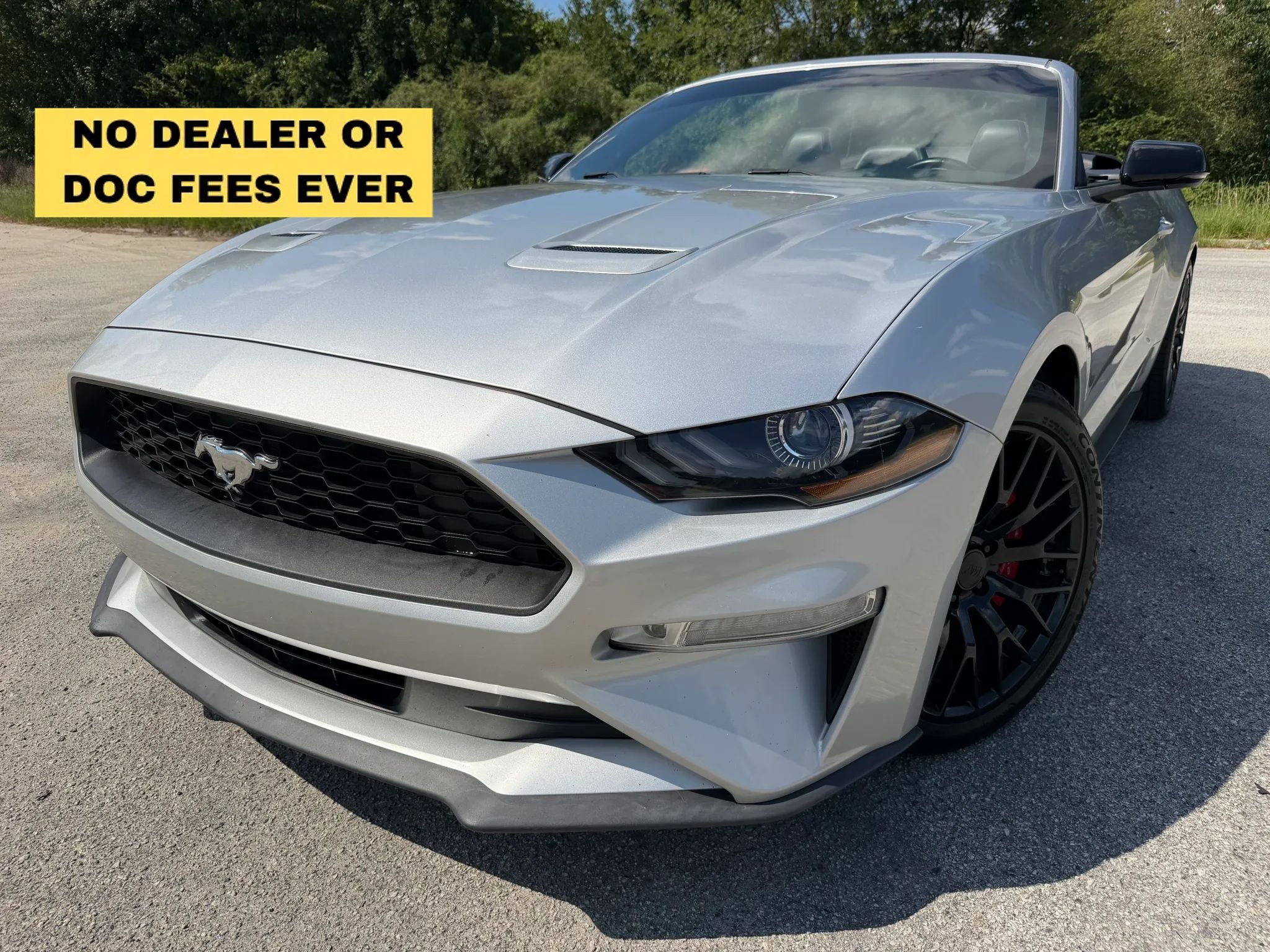 Used 2019 Ford Mustang Premium