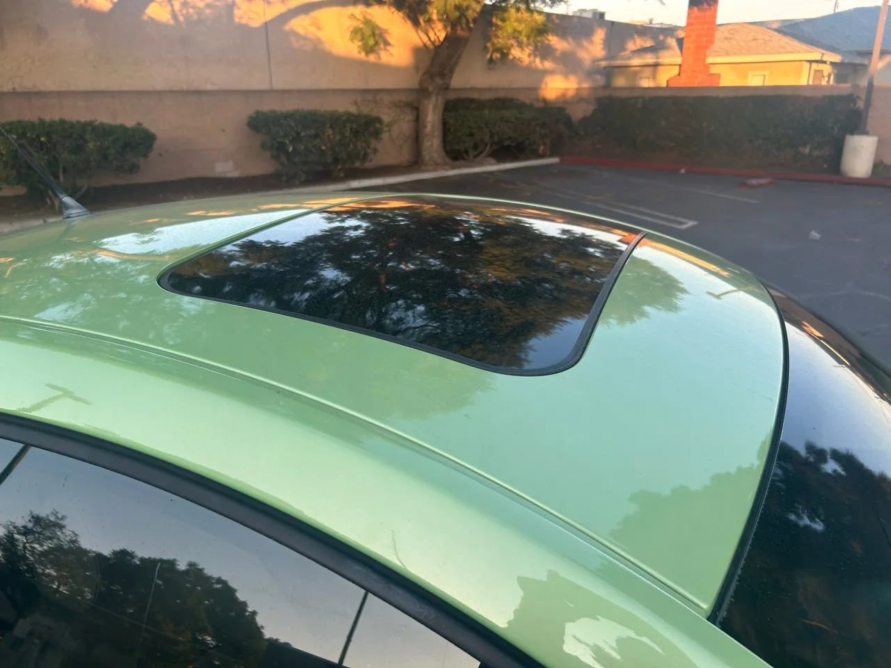 Used 2004 Volkswagen Beetle GLS image 14