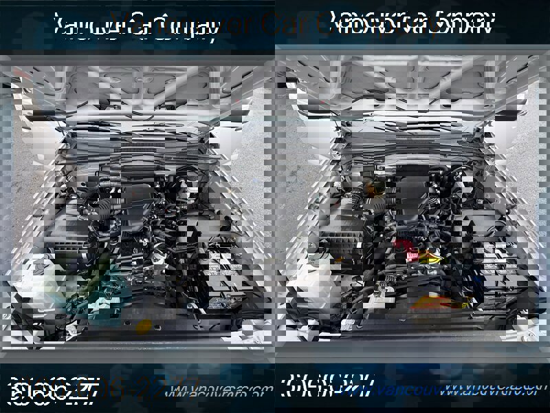 Used 2008 Toyota Tacoma RWD image 11