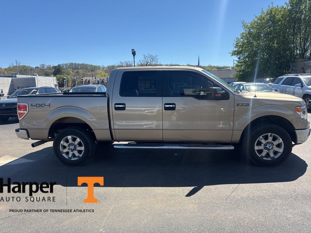 Used 2014 Ford F150 XLT w/ Equipment Group 302A Luxury image 6