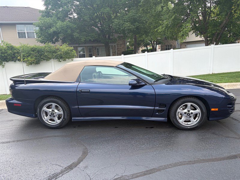 Used 2002 Pontiac Firebird Trans Am RWD image 6